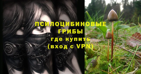 эйфоретик Алексин