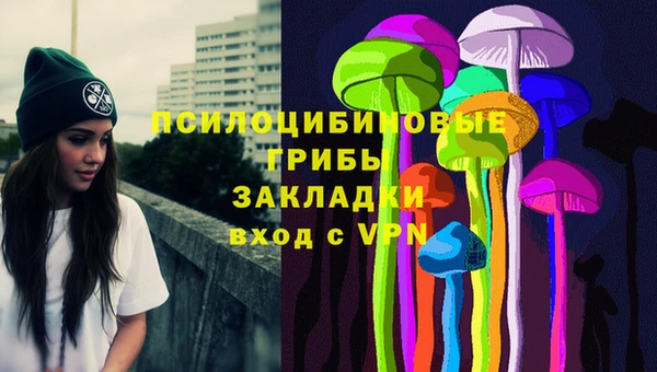 эйфоретик Алексин