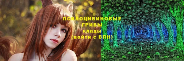 PSILOCYBIN Алзамай