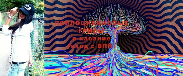 герыч Алексеевка